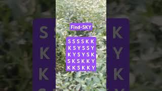 Observation Visual Test: 5 Seconds ForYou To Spot SKY. Try Your Skills! #search #puzzle #shorts