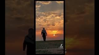 عزي لابقى شي ما يلقاه