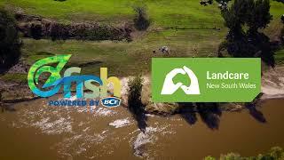 River Restoration At Its Best (OzFish + Landcare NSW Partnership).