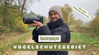 Spaziergang im Vogelschutzgebiet - von Schnatterenten, Silberreihern & Co. ‍⬛