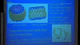 TCBG Summer School 2003: Simulation of Lipids -  Coarse Grained Modeling of Lipid Phases