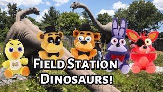 FT Movie: Field Station Dinosaurs!