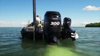 Fishing Tip - Mercury Marine Four Stroke Engines