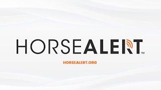 HorseAlert