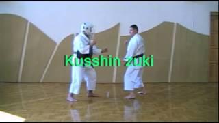 Shorinji Kempo Techniques - 1 Kyu Goho