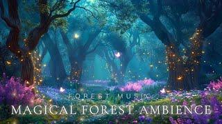 Enchanted Magical Forest  Calm Your Emotions & Sleep With Enchanting Forest Music & Nature Sounds