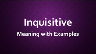 Inquisitive Meaning with Examples