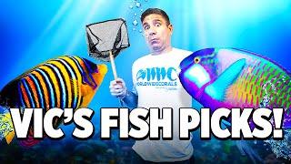 Selecting SALTWATER FISH for Vic's 80 gallon aquarium tank