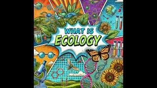 What is ecology and why is it important?