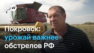 Наступление на Покровск: украинские фермеры торопятся собрать урожай, пока не пришла армия России