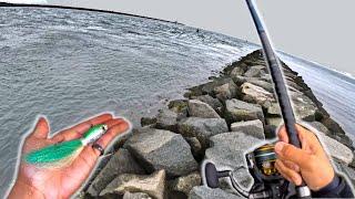 They're STILL HERE?? Cape Cod Canal LATE SEASON Striped Bass Fishing! How to Jig for Striped Bass