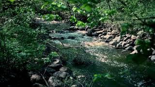 Peaceful River Escape: Relaxing , Calming Music & Nature Sounds for Peaceful Moments