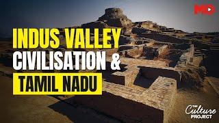 Can Tamil Nadu Unlock The Secrets Of The Indus Valley Script? | India Today