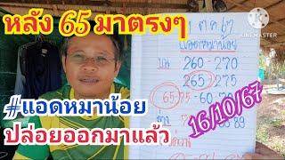 หลังแตก 62 ตามด้วย 65 #แอดหมาน้อย ปล่อยออกมาแล้ว 16 ต.ค.67