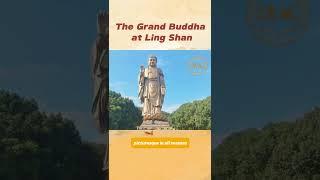 The Grand Buddha in Wuxi China #Trip #China #Wuxi #TheGrandBuddha #internship #intern ©Yvfeng