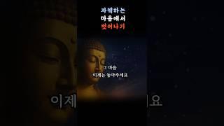 자책은 수행이 아닙니다 #부처님말씀 #석가모니 #마음공부 #불교명상 #좋은글