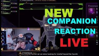 New Companion Reaction LIVE (REACTING TO Galactic Underwear Video)