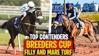 Top Contenders for the 2024 Breeders' Cup Filly & Mare Turf | Moira, Beach Bomb, Mystic Lake