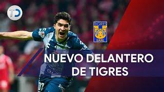 Nicolás Ibáñez, el nuevo jugador de Tigres