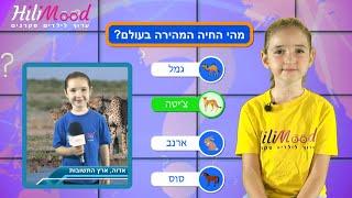 הילימוד - חידון "ארץ התשובות" - חיות | חידון חינוכי לילדים