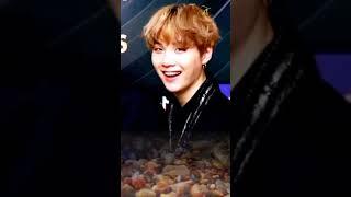 У Лукоморья  Кот ученый #suga