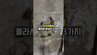 브리퍼에서 몰라서 못샀던 3가지! 네이버에 브리퍼 빗자루 검색!! #주부추천템 #청소용품
