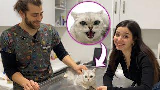 KEDİMLE ABİME GELDİK! ( Kedim Çıldırdı, Bana Saldırdı!  ) w/ @tugayinanoğlu