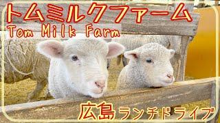 【広島ドライブ】トムミルクファームで動物とふれあい/ミルクジェラート [Drive in Japan] Tom Milk Farm in Hiroshima