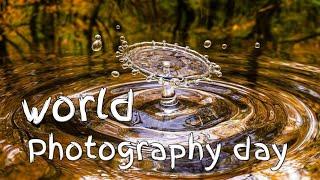 Happy World photography Day WhatsApp status l World photography day status