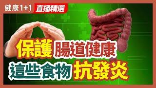 保護腸道健康 這些食物抗發炎 | 健康1+1 · 直播精選