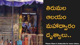 Tirumala Sri Venkateswara Swamy Temple Mahadwaram Visuals