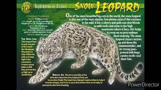 snow leopard sound effects