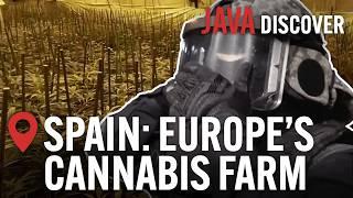 Spain's Marijuana Crisis: The Rise of Spain's Drug Smuggling Networks | Full Documentary