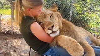 When Animals Have Enough Love for the Entire World