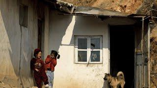 What Does a Typical North Korean House Look Like?