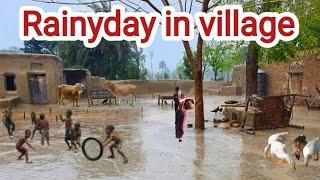 Rain| rain in village| heavy rain in village|     rain sound| village routine in raining