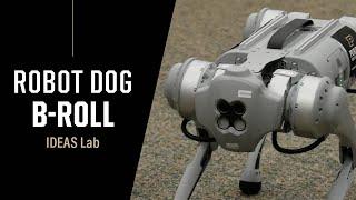 AI IDEAS Lab Robot Dog Demonstration | Purdue University