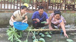 Hậu Quả Đắng Lòng Sau Mùa Mưa Bão Vô Tình Cả Nhà Có Được Món Ăn Ngon | BQCM & Family T864