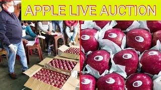 Apple Market Shimla Himachal India 2020 | Apple Mandi Rates | शिमला सेब मण्डी | Apple Auction Live 