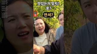 ️ 과연 진짜일까? (최애 영상입니다 재미 보장)