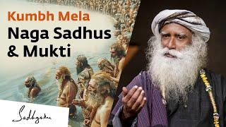 Naga Sadhus, Siddhis, Kumbh Mela & Mukti | India Today Interviews Sadhguru at Prayagraj