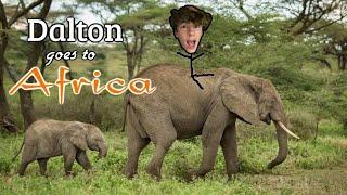 DALTON GOES TO AFRICA (african adventure)