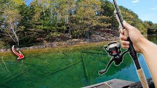 Fishing Crystal Clear Water for BIG Bass (INSANE)