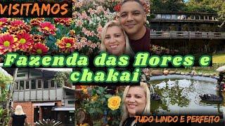 2 lugares que todos deveriam conhecer - tudo lindo e maravilhoso fazenda das flores e chakai