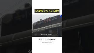 파워 P의 여행이란.. #무계획 #shorts