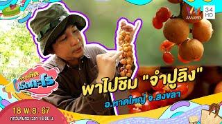 พาไปชิม "จำปูลิง" อ.หาดใหญ่ จ.สงขลา | เรื่องเด็ดเอ็ดตะโร | 18 พ.ย. 67 (3/4)