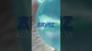 maxrxgh +ARYEZ alguien nos ve
