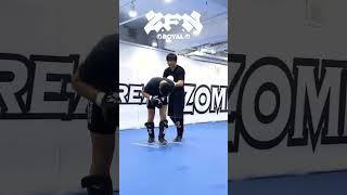 정찬성 vs. 용산 오타쿠 l Z-ROYAL #ZFN #정찬성 #koreanzombie