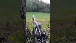 I Went on a Deer Hunt for Food