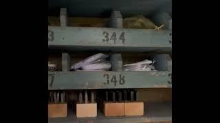 Cubby Hole Hanging Shelf